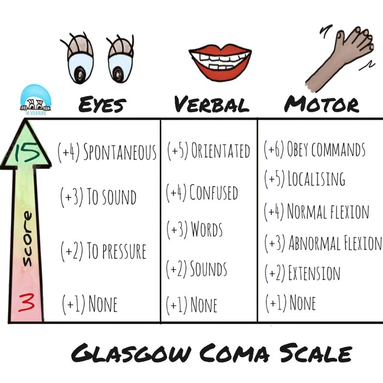 Glasgow Coma Scale Diagram